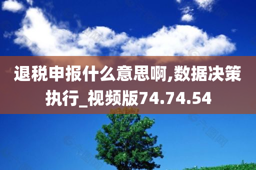 退税申报什么意思啊,数据决策执行_视频版74.74.54