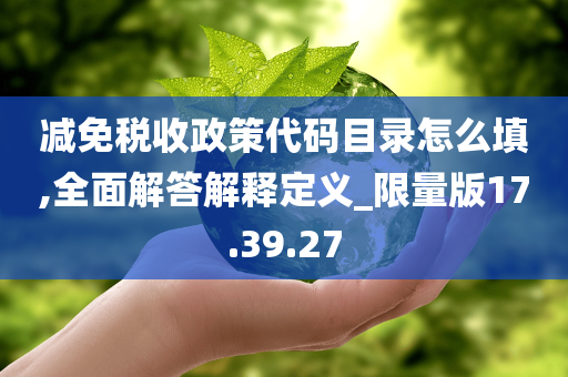 减免税收政策代码目录怎么填,全面解答解释定义_限量版17.39.27