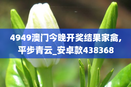 4949澳门今晚开奖结果家禽,平步青云_安卓款438368