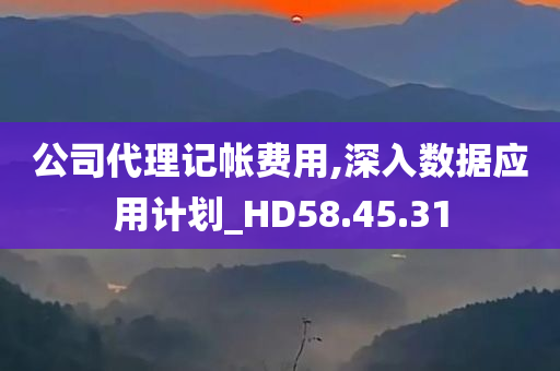 公司代理记帐费用,深入数据应用计划_HD58.45.31