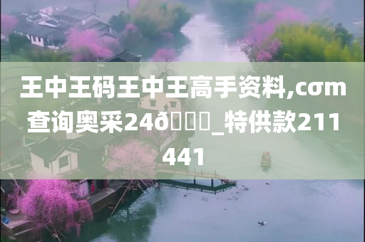 王中王码王中王高手资料,cσm查询奥采24🐎_特供款211441