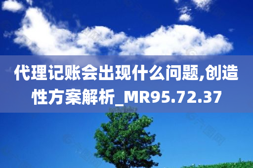 代理记账会出现什么问题,创造性方案解析_MR95.72.37