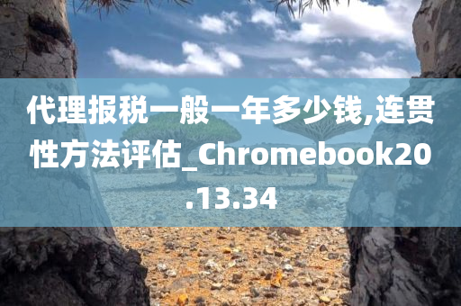 代理报税一般一年多少钱,连贯性方法评估_Chromebook20.13.34