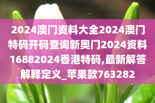 2024澳门资料大全2024澳门特码开码查询新奥门2024资料16882024香港特码,最新解答解释定义_苹果款763282