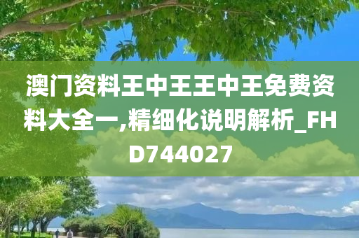 澳门资料王中王王中王免费资料大全一,精细化说明解析_FHD744027