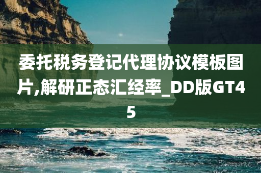 委托税务登记代理协议模板图片,解研正态汇经率_DD版GT45