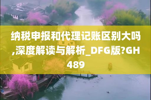 纳税申报和代理记账区别大吗,深度解读与解析_DFG版?GH489