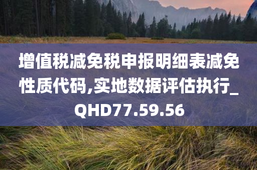 增值税减免税申报明细表减免性质代码,实地数据评估执行_QHD77.59.56