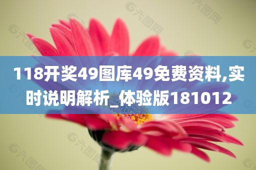 118开奖49图库49免费资料,实时说明解析_体验版181012