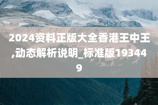 2024资料正版大全香港王中王,动态解析说明_标准版193449