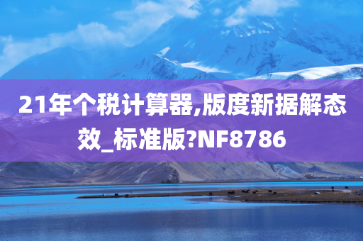 21年个税计算器,版度新据解态效_标准版?NF8786