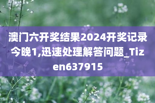 澳门六开奖结果2024开奖记录今晚1,迅速处理解答问题_Tizen637915