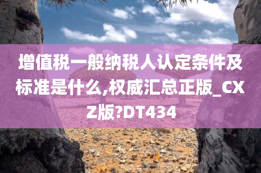 增值税一般纳税人认定条件及标准是什么,权威汇总正版_CXZ版?DT434