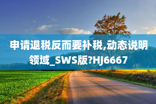 申请退税反而要补税,动态说明领域_SWS版?HJ6667