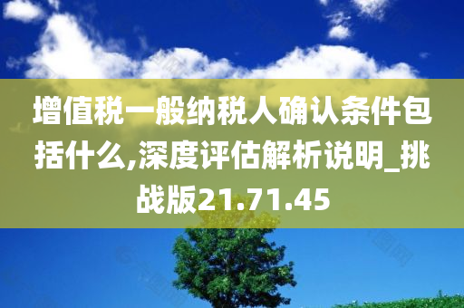 增值税一般纳税人确认条件包括什么,深度评估解析说明_挑战版21.71.45