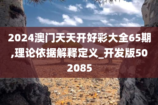 2024澳门天天开好彩大全65期,理论依据解释定义_开发版502085