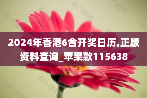 2024年香港6合开奖日历,正版资料查询_苹果款115638