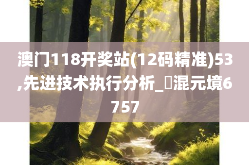 澳门118开奖站(12码精准)53,先进技术执行分析_‌混元境6757