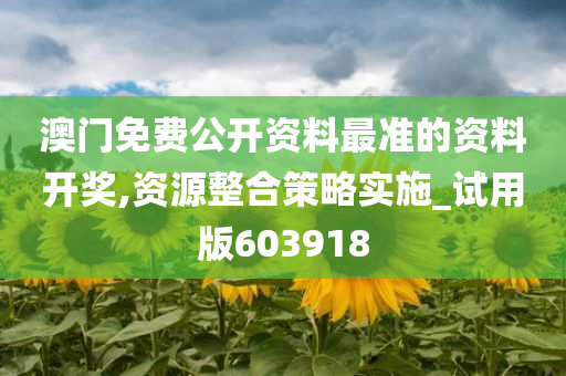 澳门免费公开资料最准的资料开奖,资源整合策略实施_试用版603918