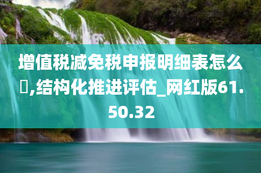 增值税减免税申报明细表怎么塿,结构化推进评估_网红版61.50.32