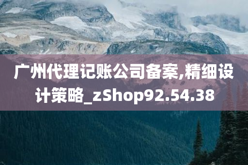 广州代理记账公司备案,精细设计策略_zShop92.54.38