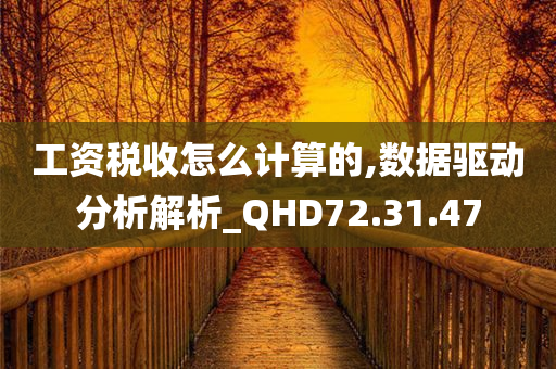 工资税收怎么计算的,数据驱动分析解析_QHD72.31.47