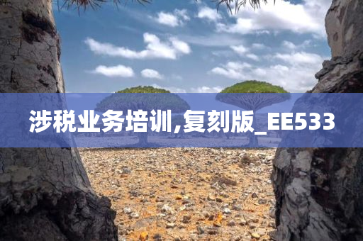 涉税业务培训,复刻版_EE533