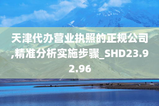 天津代办营业执照的正规公司,精准分析实施步骤_SHD23.92.96