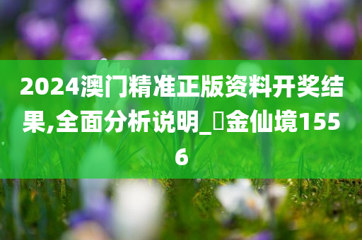 2024澳门精准正版资料开奖结果,全面分析说明_‌金仙境1556