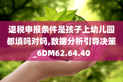 退税申报条件是孩子上幼儿园都填吗对吗,数据分析引导决策_6DM62.64.40