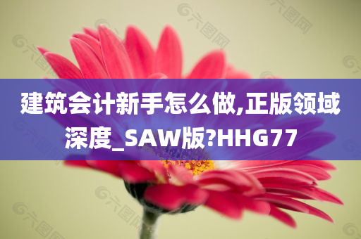 建筑会计新手怎么做,正版领域深度_SAW版?HHG77