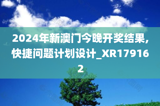 2024年新澳门今晚开奖结果,快捷问题计划设计_XR179162