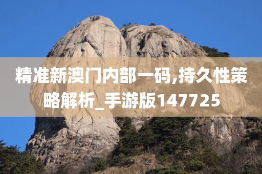 精准新澳门内部一码,持久性策略解析_手游版147725