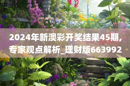 2024年新澳彩开奖结果45期,专家观点解析_理财版663992