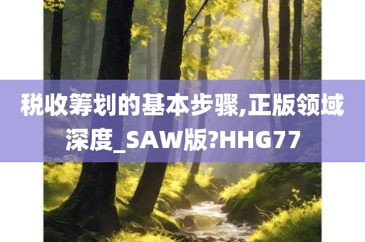 税收筹划的基本步骤,正版领域深度_SAW版?HHG77