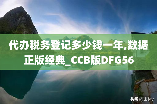 代办税务登记多少钱一年,数据正版经典_CCB版DFG56