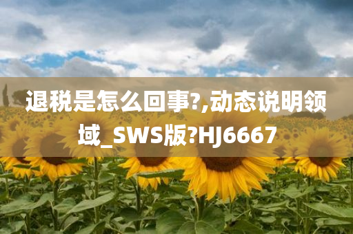 退税是怎么回事?,动态说明领域_SWS版?HJ6667