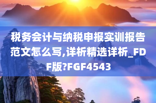 税务会计与纳税申报实训报告范文怎么写,详析精选详析_FDF版?FGF4543