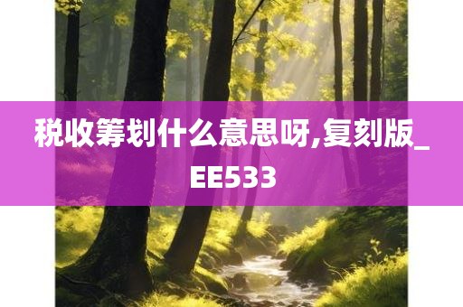 税收筹划什么意思呀,复刻版_EE533