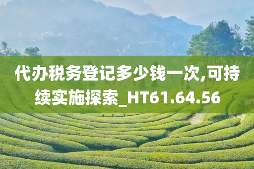 代办税务登记多少钱一次,可持续实施探索_HT61.64.56