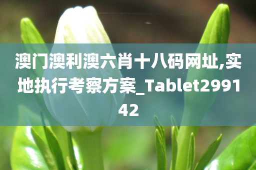 澳门澳利澳六肖十八码网址,实地执行考察方案_Tablet299142