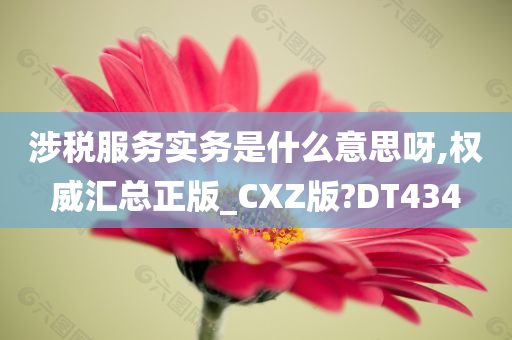 涉税服务实务是什么意思呀,权威汇总正版_CXZ版?DT434