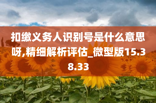 扣缴义务人识别号是什么意思呀,精细解析评估_微型版15.38.33