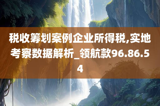 税收筹划案例企业所得税,实地考察数据解析_领航款96.86.54