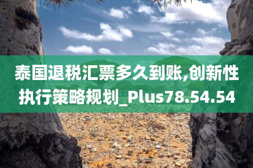 泰国退税汇票多久到账,创新性执行策略规划_Plus78.54.54