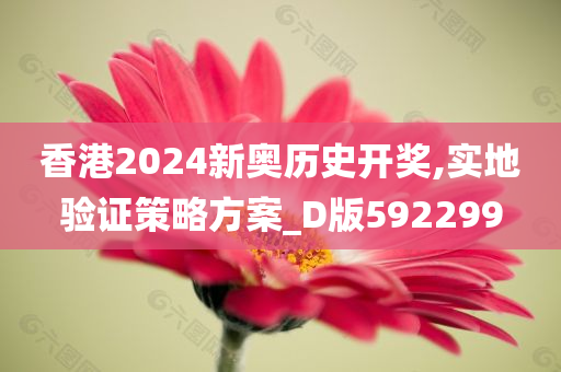 香港2024新奥历史开奖,实地验证策略方案_D版592299