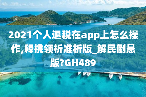 2021个人退税在app上怎么操作,释挑领析准析版_解民倒悬版?GH489