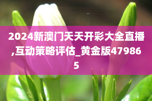 2024新澳门天天开彩大全直播,互动策略评估_黄金版479865