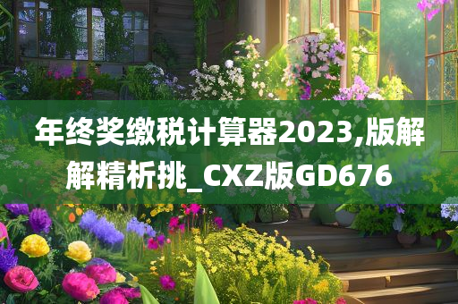 年终奖缴税计算器2023,版解解精析挑_CXZ版GD676