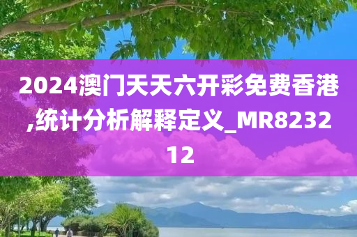 2024澳门天天六开彩免费香港,统计分析解释定义_MR823212